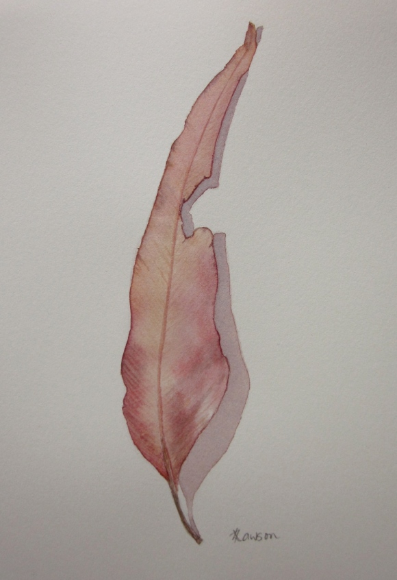 Read on to find out how to win this leaf painting.......