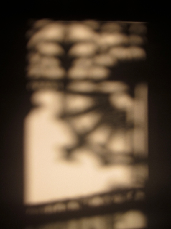 Shadows of the cast iron lacework of my verandah (Photo copyright: Anne Lawson 2013)