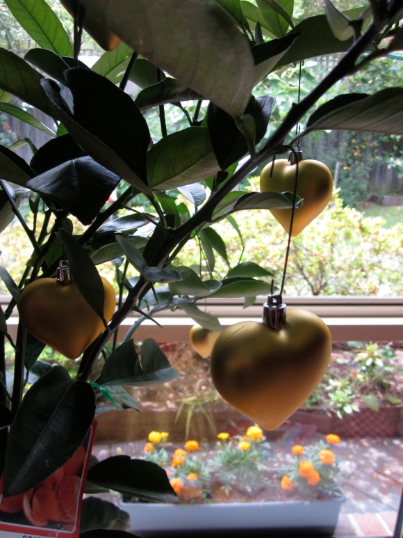 Naturally, the Christmas tree was a lemmon, with golden hearts dangling from its branches. (Photo copyright: Anne Lawson 2013)
